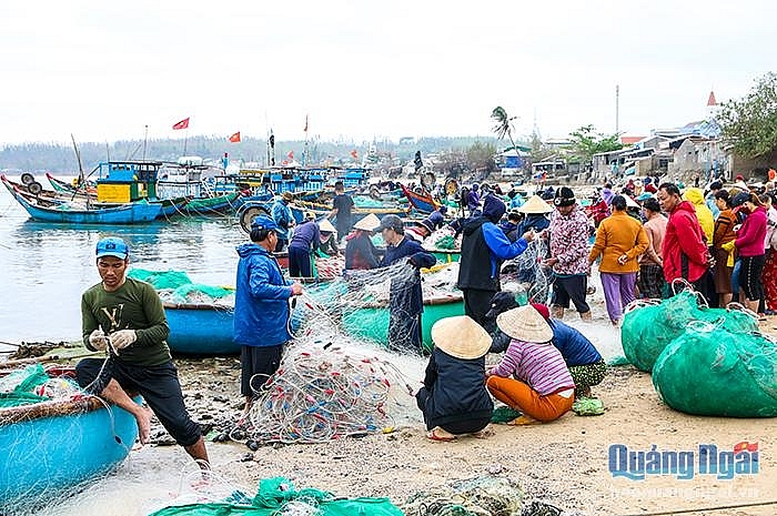 Nhộn nhịp làng chài ngày biển lặng Nhộn nhịp làng chài ngày biển lặng