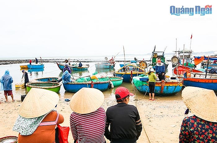 Nhộn nhịp làng chài ngày biển lặng Nhộn nhịp làng chài ngày biển lặng