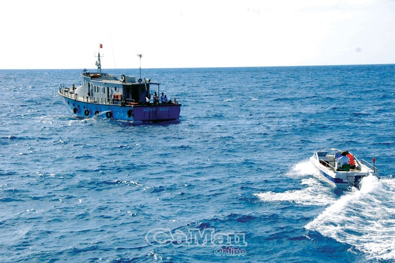 Hoạt động tuần tra kiểm soát được các ngành chức năng tiến hành thường xuyên, liên tục từ theo kế hoạch cho đến đột xuất. Hoạt động tuần tra kiểm soát được các ngành chức năng tiến hành thường xuyên, liên tục từ theo kế hoạch cho đến đột xuất.