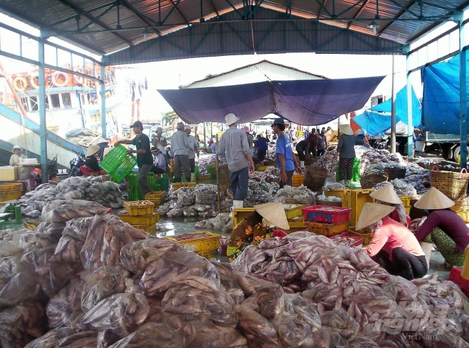 Do các tàu cá và thuyền trưởng tàu cá không ghi hoặc ghi thiếu trung thực nhật ký khai thác dẫn đến sai sót số liệu khi đối chiếu trong khâu kiểm tra, gây khó khăn cho việc xác nhận nguồn gốc thủy sản, lưu trữ hồ sơ theo quy định của EC. Do các tàu cá và thuyền trưởng tàu cá không ghi hoặc ghi thiếu trung thực nhật ký khai thác dẫn đến sai sót số liệu khi đối chiếu trong khâu kiểm tra, gây khó khăn cho việc xác nhận nguồn gốc thủy sản, lưu trữ hồ sơ theo quy định của EC.