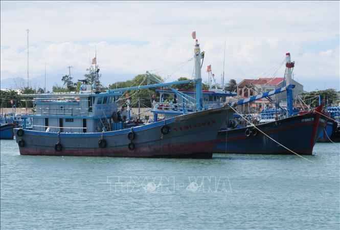 “Tàu 67” của ngư dân Ninh Thuận neo đậu tại bến cá Mỹ Tân (xã Thanh Hải, huyện Ninh Hải). “Tàu 67” của ngư dân Ninh Thuận neo đậu tại bến cá Mỹ Tân (xã Thanh Hải, huyện Ninh Hải).