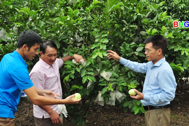 Làng người Dao kiểu mẫu ở Hùng Tâm