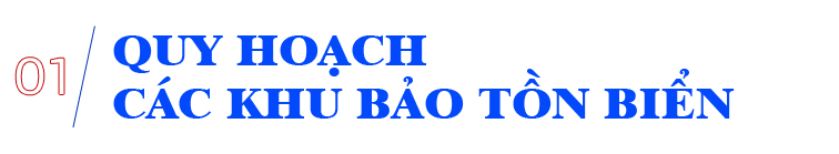 Cấp bách bảo tồn biển Việt Nam Cấp bách bảo tồn biển Việt Nam