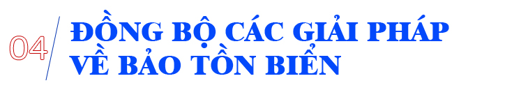 Cấp bách bảo tồn biển Việt Nam Cấp bách bảo tồn biển Việt Nam