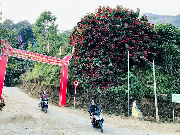 Rực rỡ mùa hoa trạng nguyên nơi biên giới Rực rỡ mùa hoa trạng nguyên nơi biên giới
