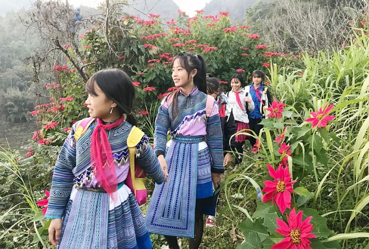Rực rỡ mùa hoa trạng nguyên nơi biên giới Rực rỡ mùa hoa trạng nguyên nơi biên giới