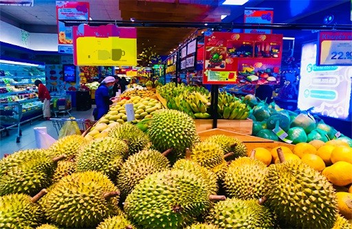 Đưa 'vua trái cây nhiệt đới' Việt Nam bay xa Đưa 'vua trái cây nhiệt đới' Việt Nam bay xa