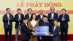 bat ngo truoc kha nang hoi hoa cua hoa hau a hau viet