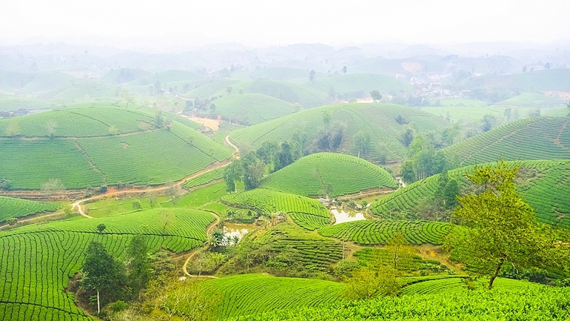 រូបថតឧទាហរណ៍ រូបថតឧទាហរណ៍