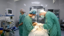Interplast: ការវះកាត់ក្រអូមមាត់ ដោយឥតគិតថ្លៃ សម្រាប់កុមារដែលមានការលំបាកចំនួន ៨០