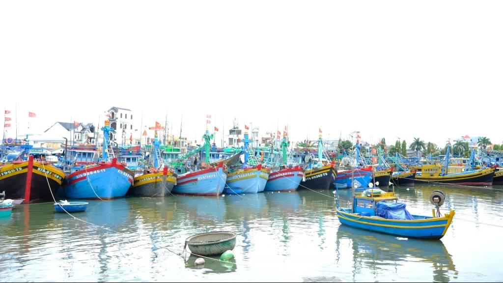 ខេត្ត Lam Dong បង្កើតក្រុមការងារអន្តរវិស័យប្រឆាំងការនេសាទ IUU