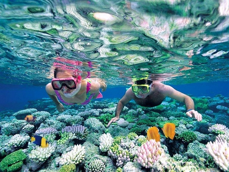 Nha Trang ស្ថិតក្នុងគោលដៅមុជសមុទ្រកំពូលទាំង ៥ នៅអាស៊ី Nha Trang ស្ថិតក្នុងគោលដៅមុជសមុទ្រកំពូលទាំង ៥ នៅអាស៊ី
