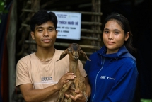 ខេត្ត Quang Tri៖ លើកកម្ពស់ជីវភាពគ្រួសារក្រីក្រ ដោយគំរូចិញ្ចឹមសត្វពពែ