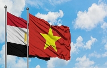 អាជីវកម្មវៀតណាម និងអេហ្ស៊ីប ពង្រឹងការតភ្ជាប់ ចាប់យកឱកាសអំណោយផល