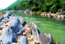 គយគន់ឆ្នេរថ្មដូចជា 