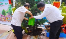ដើមឈើ Van Nien Tung៖ និមិត្តរូបនៃចំណងមិត្តភាពវៀតណាម-ឥណ្ឌា