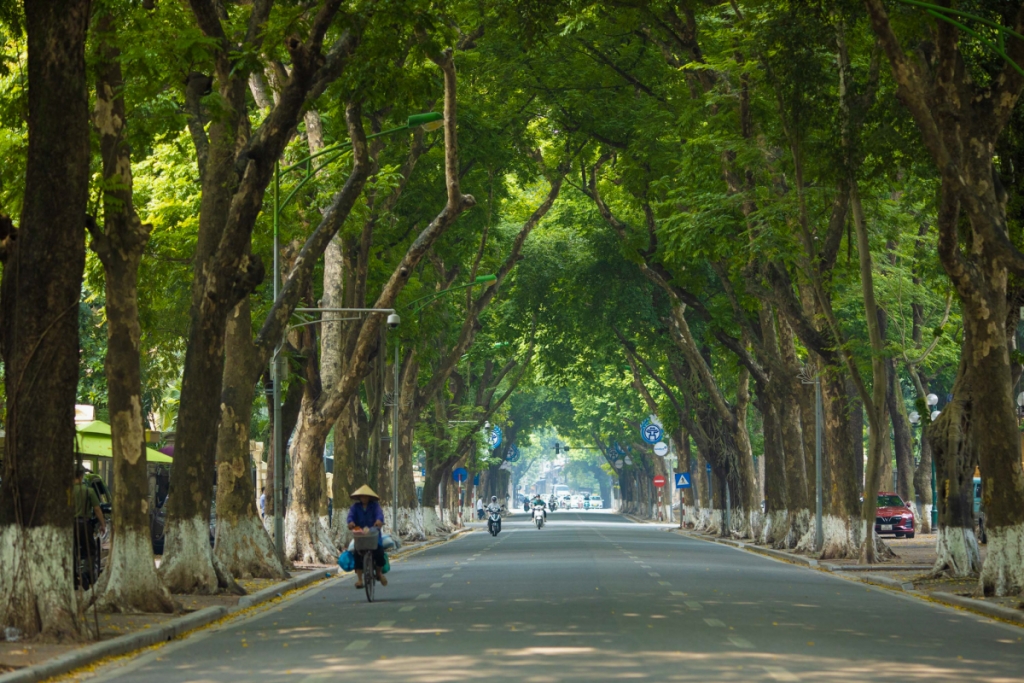 វៀតណាមជាគោលដៅកំពូលមួយសម្រាប់ឱកាសបុណ្យចូលឆ្នាំថ្មី