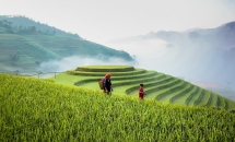 Mu Cang Chai - ថ្ងៃវិលត្រឡប់មកវិញ