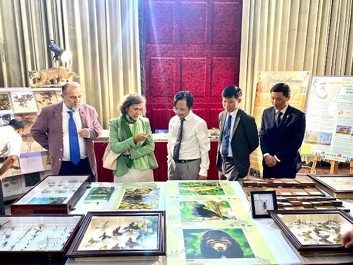 កិច្ចសហប្រតិបត្តិការវៀតណាម-អេស្ប៉ាញ ដើម្បីអនាគតបៃតង