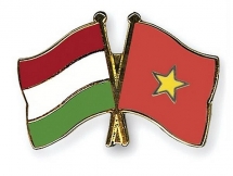 ជំរុញកិច្ចសហប្រតិបត្តិការលើវិស័យអប់រំ និងបណ្តុះបណ្តាលរវាងវៀតណាម និងហុងគ្រី