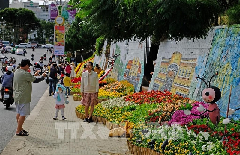 ទីធ្លាផ្កានៅផ្លូវ Le Dai Hanh (តំបន់ Hoa Binh ទីក្រុង Da Lat) ចម្រុះពណ៌ផ្កា ដើម្បីស្វាគមន៍ពិធីបុណ្យផ្កាលើកទី៩ ទីធ្លាផ្កានៅផ្លូវ Le Dai Hanh (តំបន់ Hoa Binh ទីក្រុង Da Lat) ចម្រុះពណ៌ផ្កា ដើម្បីស្វាគមន៍ពិធីបុណ្យផ្កាលើកទី៩