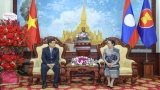 ສະມາຄົມມິດຕະພາບຫວຽດນາມ-ລາວ ອວຍພອນສະຖານທູດລາວ ເນື່ອງໃນໂອກາດບຸນເຕັດບຸນປີໃໝ່