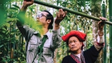 ການ​ເດີນ​ທາງກັບຄືນກົກເຄົ້າເຫງົ້າກໍ​ຂອງລຸ້ນ​ໜຸ່ມ​ທີ່ມີເຊຶ້ອຊາດຫວຽດນາມ: ຄົ້ນຫາສີສັນໂດຍຜ່ານພາສາແມ່