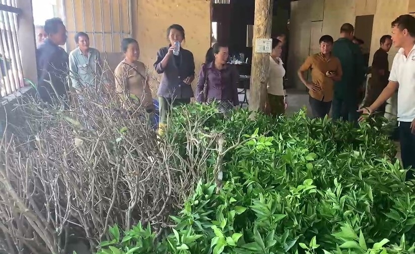 ບັກຢາງ ຊ່ວຍເຫຼືອປະຊາຊົນ ແຂວງໄຊສົມບູນ (ລາວ) ປັບປຸງລາຍຮັບຈາກອາຊີບກະສິກຳ ບັກຢາງ ຊ່ວຍເຫຼືອປະຊາຊົນ ແຂວງໄຊສົມບູນ (ລາວ) ປັບປຸງລາຍຮັບຈາກອາຊີບກະສິກຳ