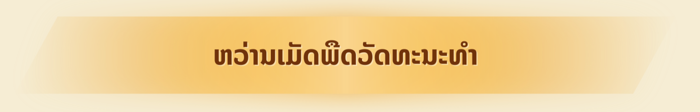 Hành trình gieo duyên tiếng Việt ở Sri Lanka