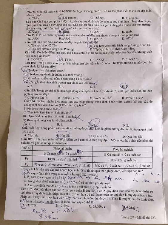 Đề thi môn Sinh Học kỳ thi tốt nghiệp THPT 2020 đầy đủ mã đề mới nhất de thi mon sinh hoc ky thi tot nghiep thpt 2020 day du ma de moi nhat