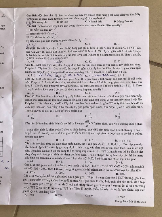 Đề thi môn Sinh Học kỳ thi tốt nghiệp THPT 2020 đầy đủ mã đề mới nhất de thi mon sinh hoc ky thi tot nghiep thpt 2020 day du ma de moi nhat
