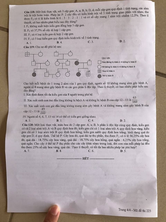 Đề thi môn Sinh Học kỳ thi tốt nghiệp THPT 2020 đầy đủ mã đề mới nhất de thi mon sinh hoc ky thi tot nghiep thpt 2020 day du ma de moi nhat