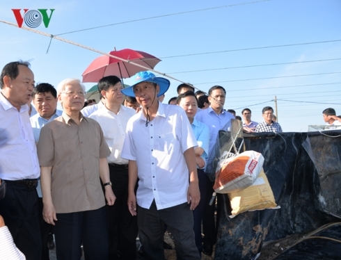 Hình ảnh Tổng Bí thư, Chủ tịch nước thăm, làm việc tại tỉnh Kiên Giang hinh anh tong bi thu chu tich nuoc tham lam viec tai tinh kien giang