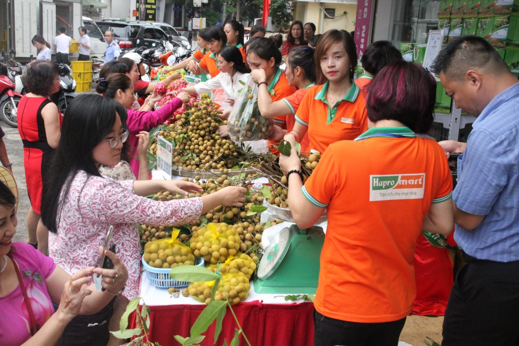Hapro tổ chức Đại hội đồng cổ đông thường niên năm 2019 hapro to chuc dai hoi dong co dong thuong nien nam 2019