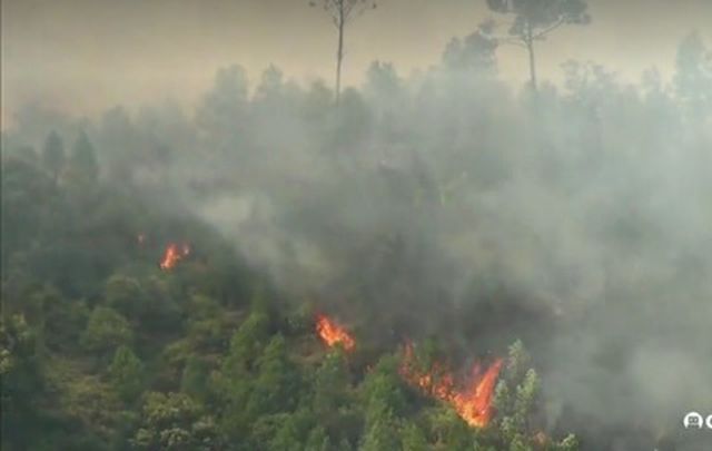 chay rung o ha tinh lua bung phat du doi o nhieu noi