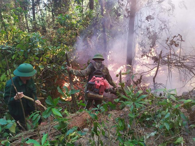 chay rung o ha tinh lua bung phat du doi o nhieu noi