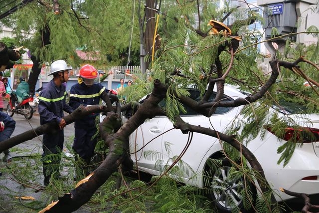 Giông lốc Hà Nội: Cây xanh đổ rạp, có người thương vong giong loc ha noi cay xanh do rap co nguoi thuong vong