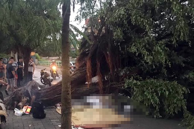 Giông lốc Hà Nội: Cây xanh đổ rạp, có người thương vong giong loc ha noi cay xanh do rap co nguoi thuong vong