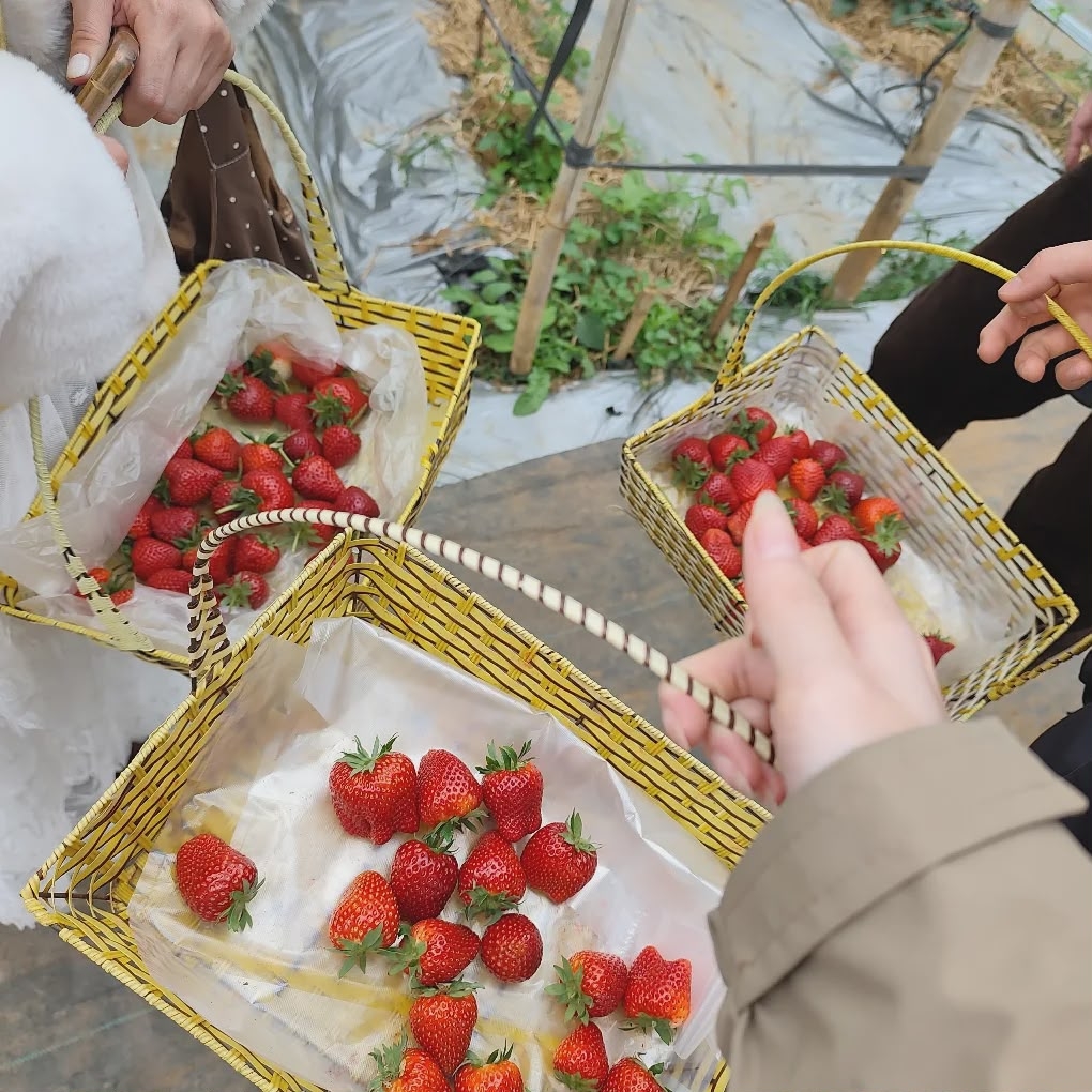 Весна на плато Моктяу Весна на плато Моктяу