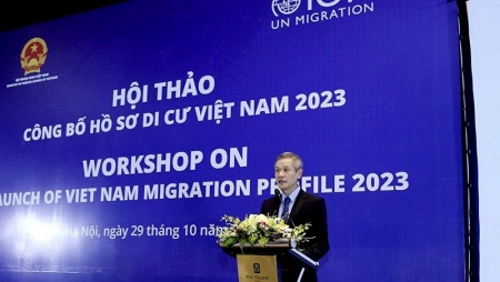Вьетнам опубликовал доклад о миграции 2023 года