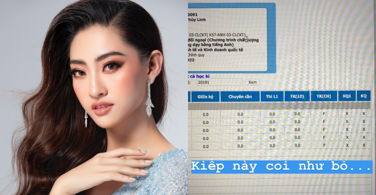 bat ngo truoc kha nang hoi hoa cua hoa hau a hau viet
