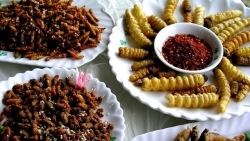con co hon dao xinh dep cua quang tri voi nhieu dac san vua ngon vua quy hiem