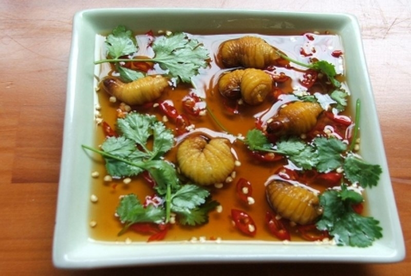 ve bac lieu nghe da co hoai lang va thuong thuc nhieu dac san