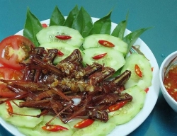 ghe tham jordan dat nuoc cua nhung huyen thoai va thuong thuc nhieu dac san