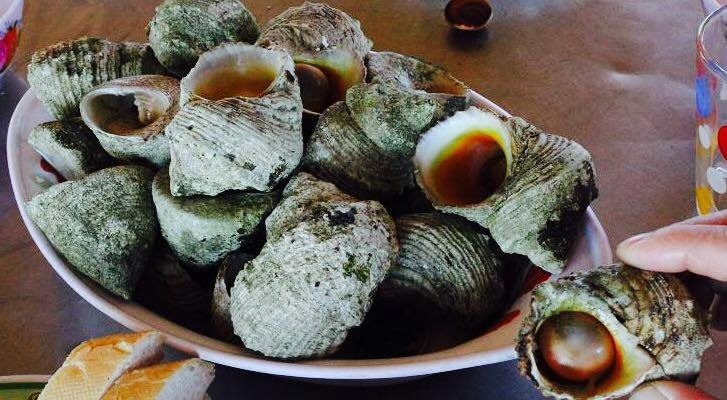 Cồn Cỏ - hòn đảo xinh đẹp của Quảng Trị với nhiều đặc sản vừa ngon, vừa quý hiếm con co hon dao xinh dep cua quang tri voi nhieu dac san vua ngon vua quy hiem