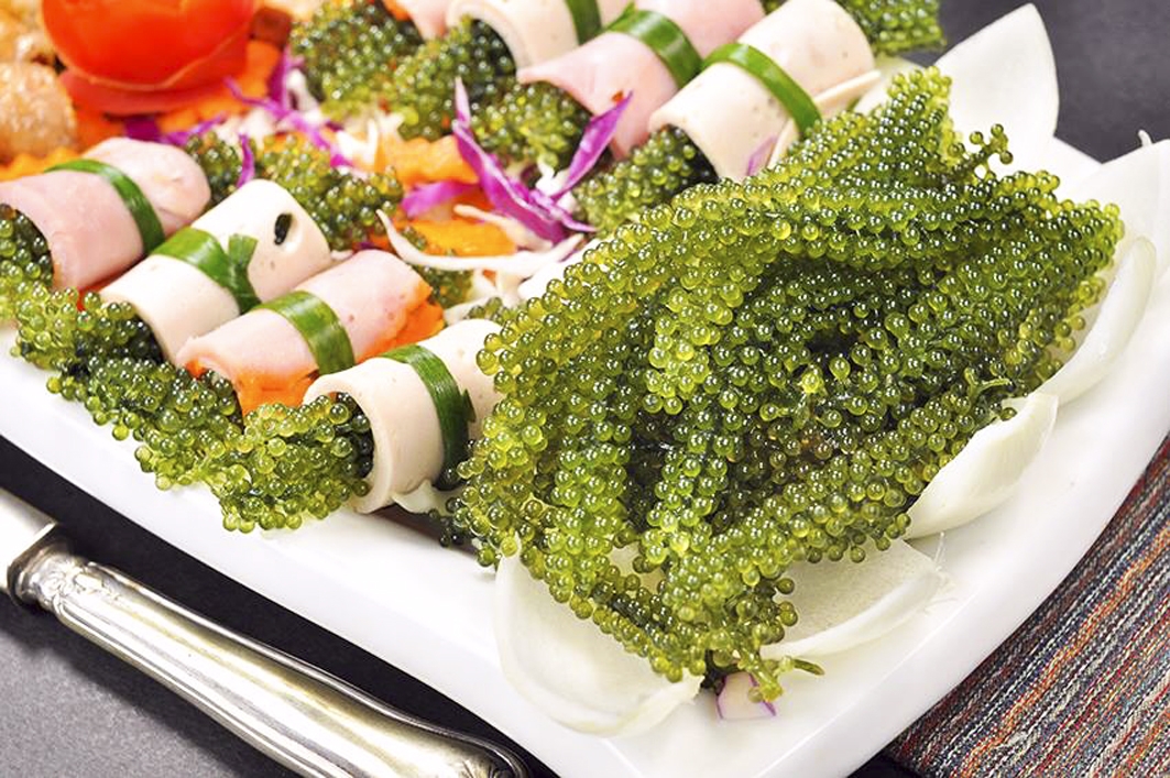 Cồn Cỏ - hòn đảo xinh đẹp của Quảng Trị với nhiều đặc sản vừa ngon, vừa quý hiếm con co hon dao xinh dep cua quang tri voi nhieu dac san vua ngon vua quy hiem