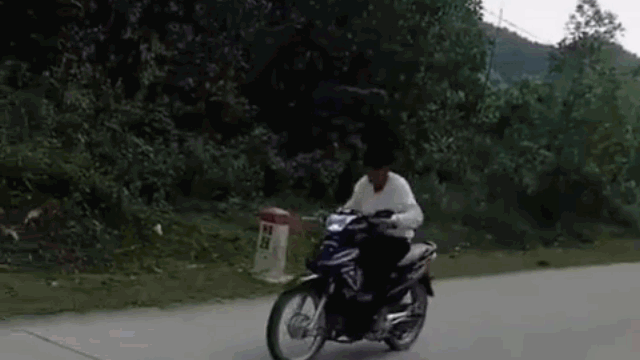 Camera giao thông: 
