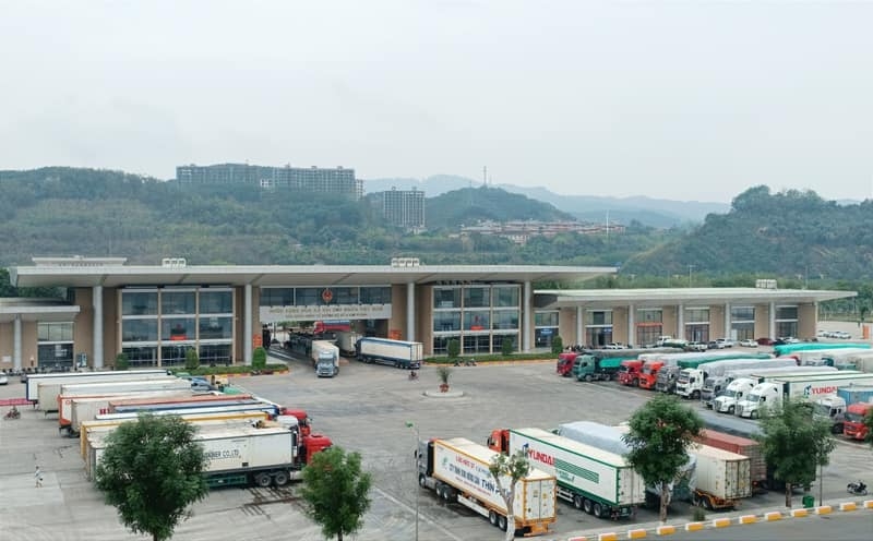 老街为向中国出口越南新鲜荔枝创造了最有利的条件 老街为向中国出口越南新鲜荔枝创造了最有利的条件