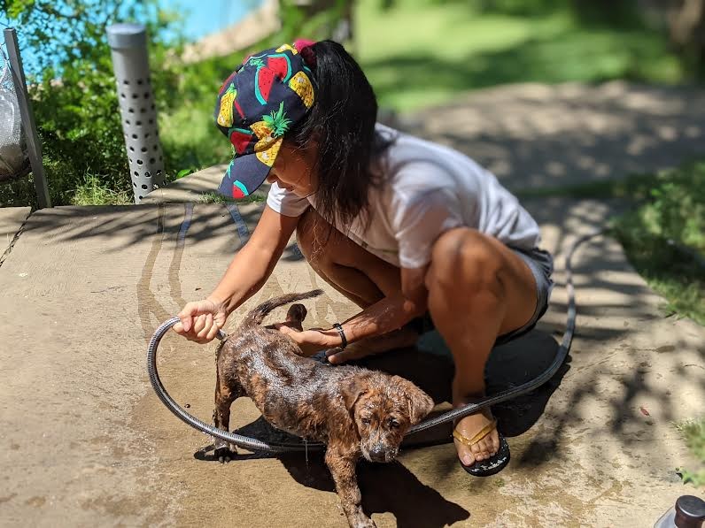 Vietnam's Pet Lovers React to the Ca Mau Killings Vietnam's Pet Lovers React to the Ca Mau Killings