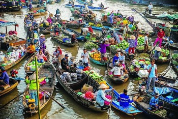Phát triển Đồng bằng sông Cửu Long thành thương hiệu quốc tế về du lịch sinh thái